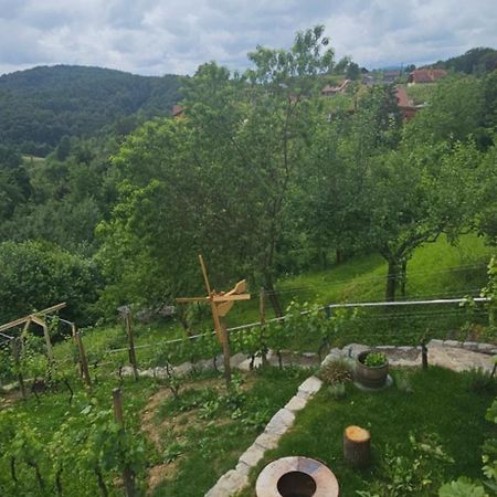 Villa Zidanica Muhic Dolenjske Toplice Exterior foto