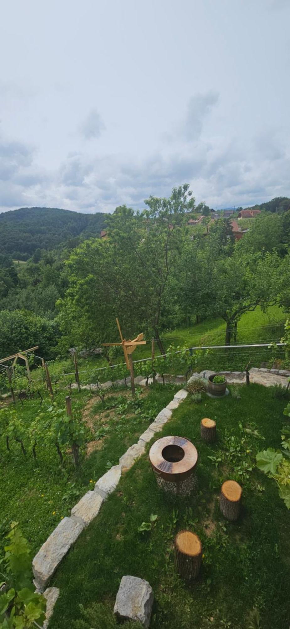 Villa Zidanica Muhic Dolenjske Toplice Exterior foto